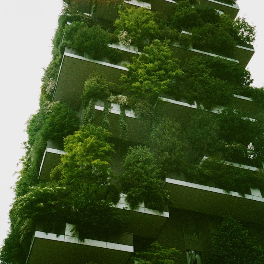 White Building Exterior Surrounded Trees And Gardens